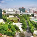 서울대학교 이미지