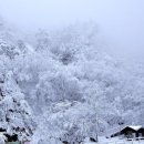 한계령의아침 이미지