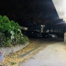 힘센풍천민물장어직판장 이미지