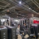 어썸어스 | 선릉역헬스장 메디컬트레이닝 체형교정 PT 받으러간 어썸어스휘트니스