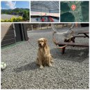 반하면 오토캠핑장 이미지