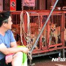 황구건강원 이미지