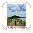 해냄 어린이집 | 7월3주차 주간일기/날씨가 왜이래