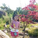 백송초밥 이미지