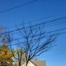 여주-0109 이미지