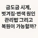 명품시계 워치엔조이
