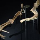 타르보사우루스-1 | 테리지노사우루스, 공룡계의 진짜 괴수는 ‘초식 손톱 괴물’이었다