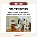 홈플러스 서귀포점 이미지