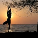 일반요가 이미지