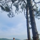데이지카페 - 서대문구 모래내로 380 | 데이지카페