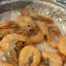 대하카센타 이미지