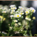 색달동-16 이미지