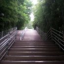 덕천3동-6 이미지