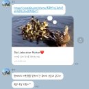 (주)오엠지 이미지