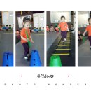 운동하는 코끼리 이미지