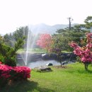 갈멜사슴농원 이미지