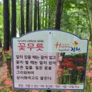 2024 경북 김천 가볼만한 곳 직지사 &#34;꽃무릇길&#34; 다녀온 후기