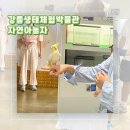 자연아놀자박물관 | [강원︱강릉시] 강릉 실내 데이트 강릉생태체험박물관 자연아놀자 후기