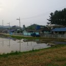 원광대체육관 앞 이미지