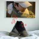 카카오 이미지