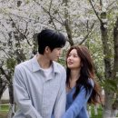애니 - 광주시 광주대로 30 | 애니