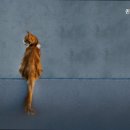 퀸즈동물병원 이미지