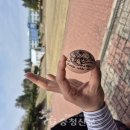 합덕여자중학교 이미지