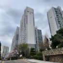 (주)에스더블유헬스케어 이미지