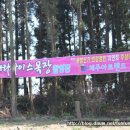 (주)보라투어 이미지