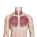 BNA FITNESS 이미지