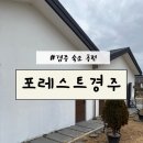 104 | 경주숙소 포레스트경주 104호 내돈내산 후기