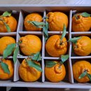 수상한 집 이미지