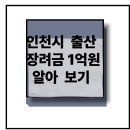 미추홀구청어린이집 | 인천 출산 지원금 최대 1억,신청 자격,절차,혜택 총정리