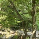만산고을펜션 네이버블로그