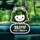 제제조이