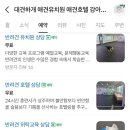 대견하개 이미지