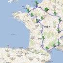 블루아라(I) 이미지