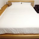 메르베르스파애견펜션 이미지