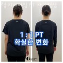 랩 지피티짐 이미지