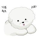 포동이 펫살롱 이미지