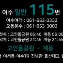 웅천삼거리건너 이미지