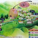 자인당 Daum카페