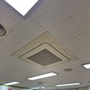 새솔중학교 이미지