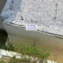 디엠태양광발전소 이미지