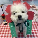 송산유치원 이미지