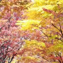 창원광장 앞 중앙대로 연합뉴스