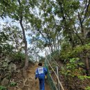 일미닭갈비 이미지