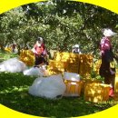 내고2농로 이미지