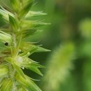 홍련봉공원 이미지