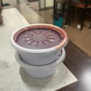 무을칼국수